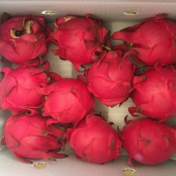 紅龍果中顆10斤(季節限定)